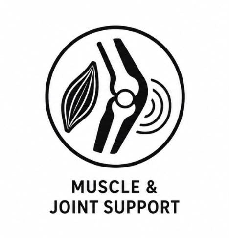 Muscle